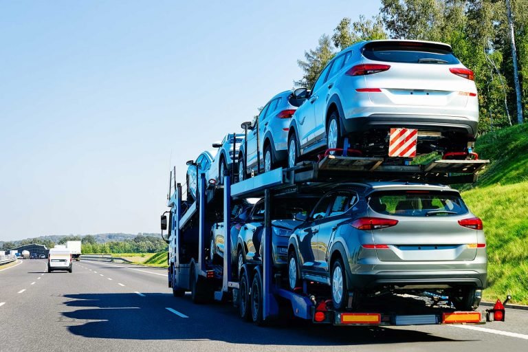 transporte de veículos na cegonha