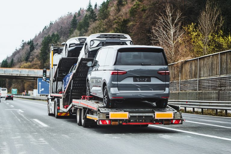 Quantos carros cabem em uma cegonha